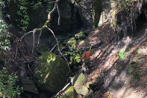 Surveying in the forest with the Leica GS18 T BM Field